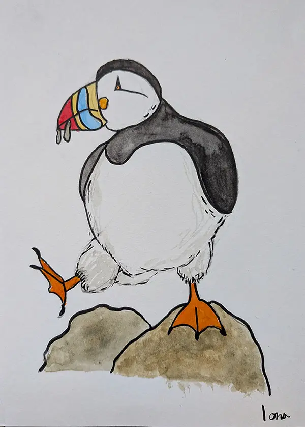 Watercolour on card of puffin